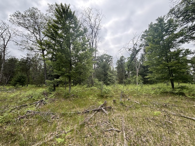 V/L14A N Woodbridge Ave, Bitely, MI 49309 - photo 8