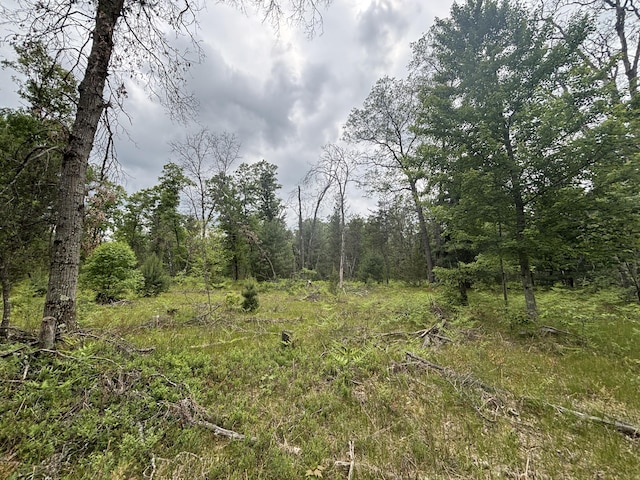 V/L14A N Woodbridge Ave, Bitely, MI 49309 - photo 9