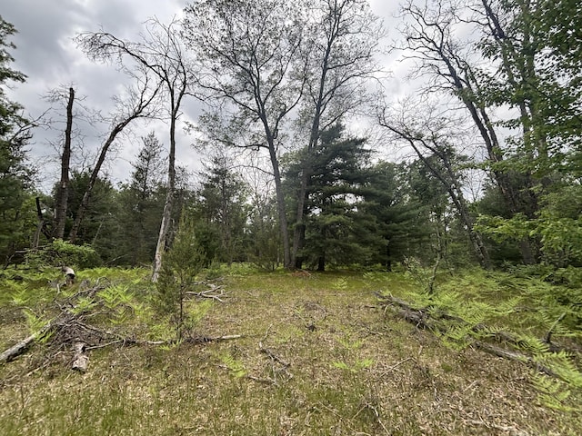 V/L14A N Woodbridge Ave, Bitely, MI 49309 - photo 10