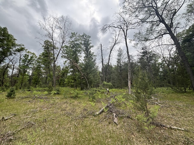 V/L14A N Woodbridge Ave, Bitely, MI 49309 - photo 11
