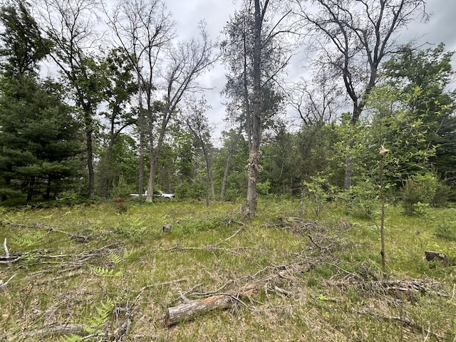 V/L14A N Woodbridge Ave, Bitely, MI 49309 - photo 12