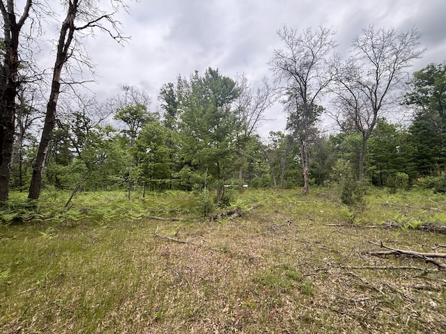 V/L14A N Woodbridge Ave, Bitely, MI 49309 - photo 16
