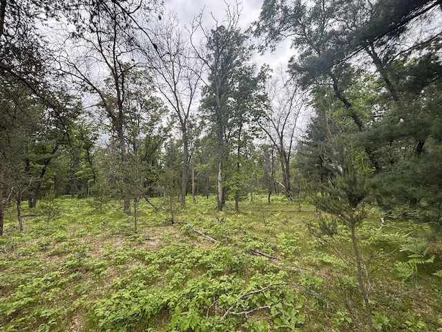 V/L14A N Woodbridge Ave, Bitely, MI 49309 - photo 17