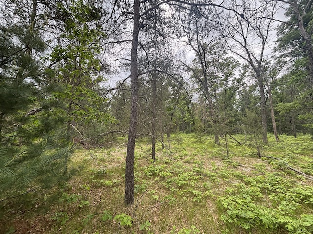 V/L14A N Woodbridge Ave, Bitely, MI 49309 - photo 18