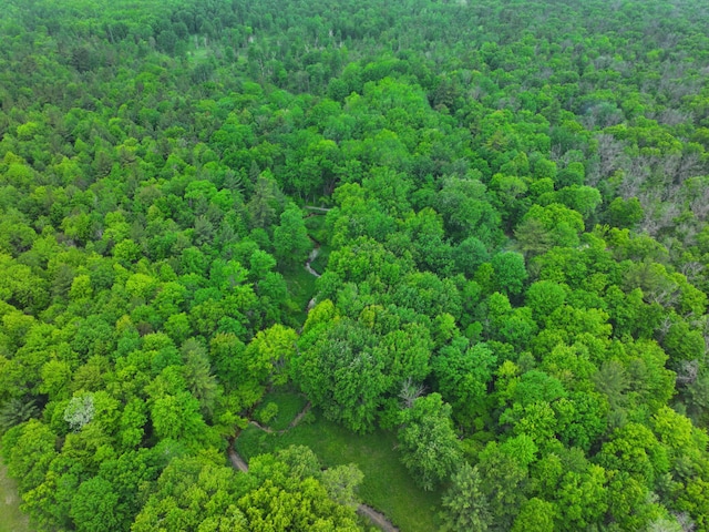 V/L14A N Woodbridge Ave, Bitely, MI 49309 - photo 2