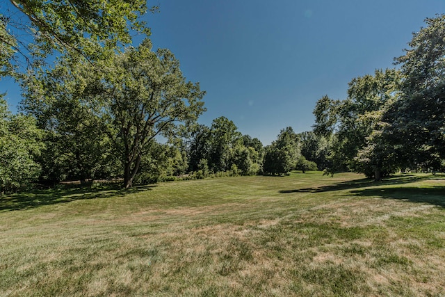 675 Mooreville Rd, Milan, MI 48160 - photo 4