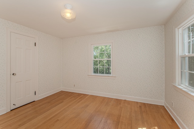 675 Mooreville Rd, Milan, MI 48160 - photo 44
