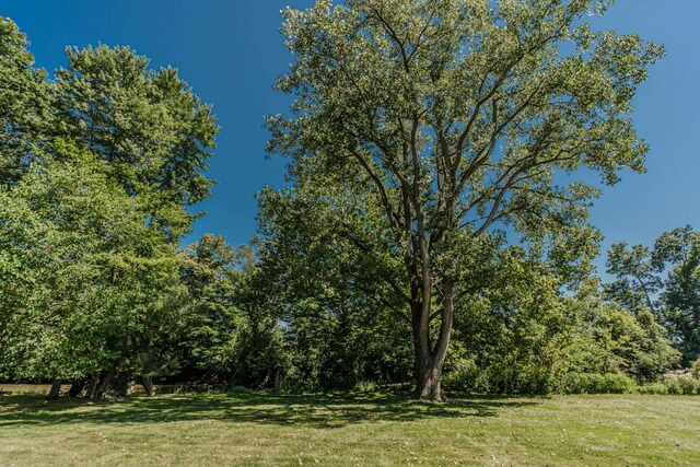 675 Mooreville Rd, Milan, MI 48160 - photo 90
