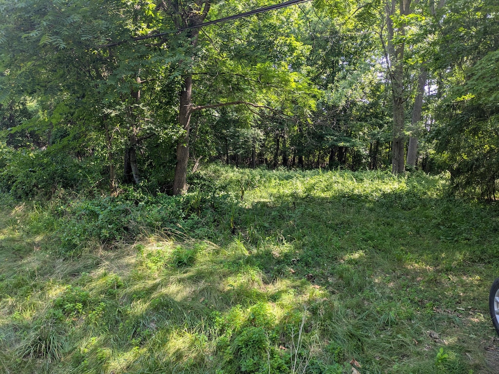 0 Keefer St, Southfield, MI 48033 - photo 2