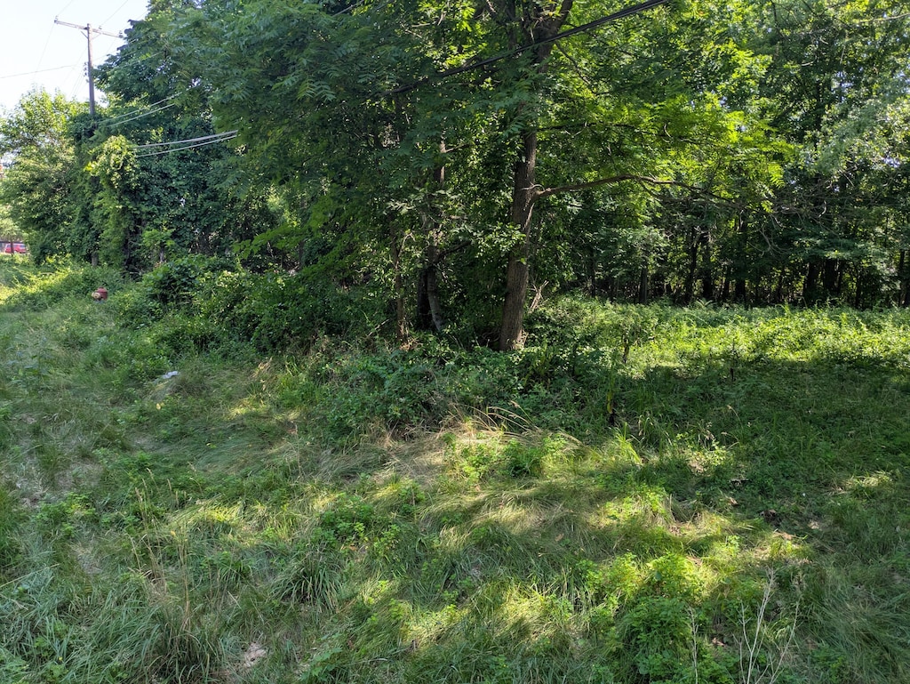 0 Keefer St, Southfield, MI 48033 - photo 4