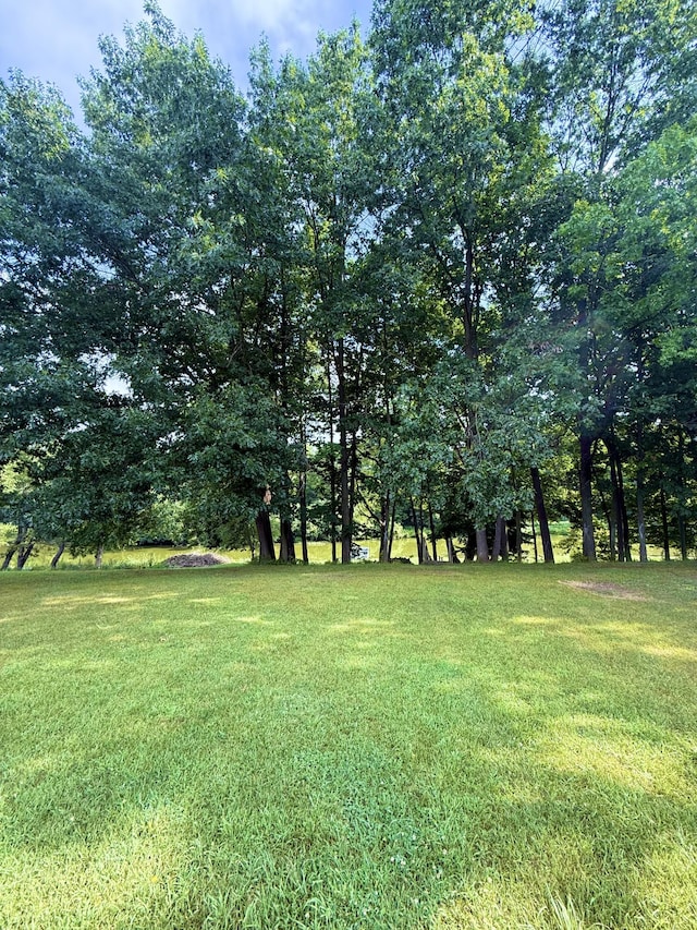 4801 Kim Dr, Hillsdale, MI 49242 - photo 6