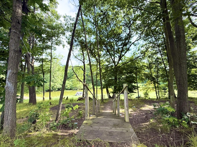 4801 Kim Dr, Hillsdale, MI 49242 - photo 8