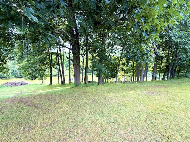 4801 Kim Dr, Hillsdale, MI 49242 - photo 12