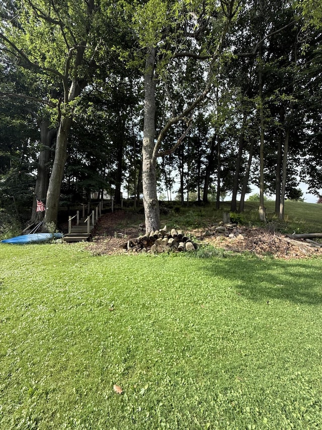 4801 Kim Dr, Hillsdale, MI 49242 - photo 10