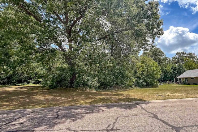 2723 Sugarberry Ln, Niles, MI 49120 - photo 6