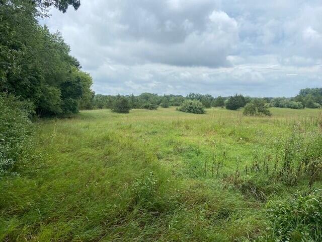 0 Phal Rd, Grass Lake, MI 49240 - photo 1