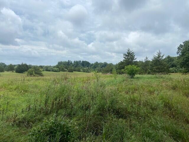 0 Phal Rd, Grass Lake, MI 49240 - photo 2