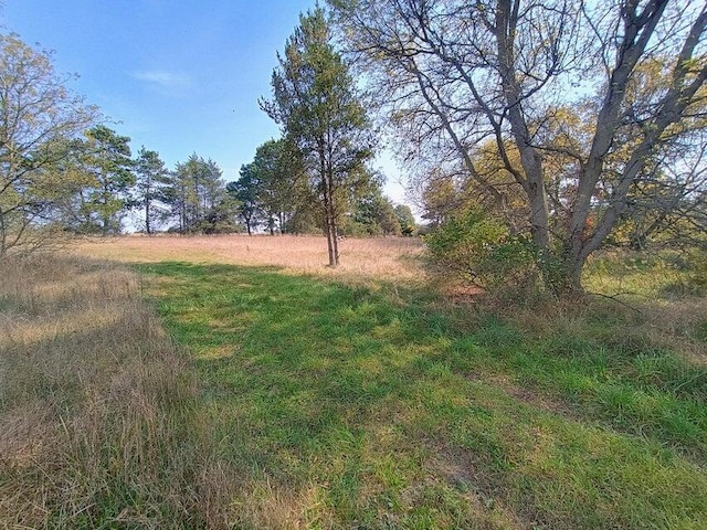 3571 E Decker Rd, Custer, MI 49405 - photo 4