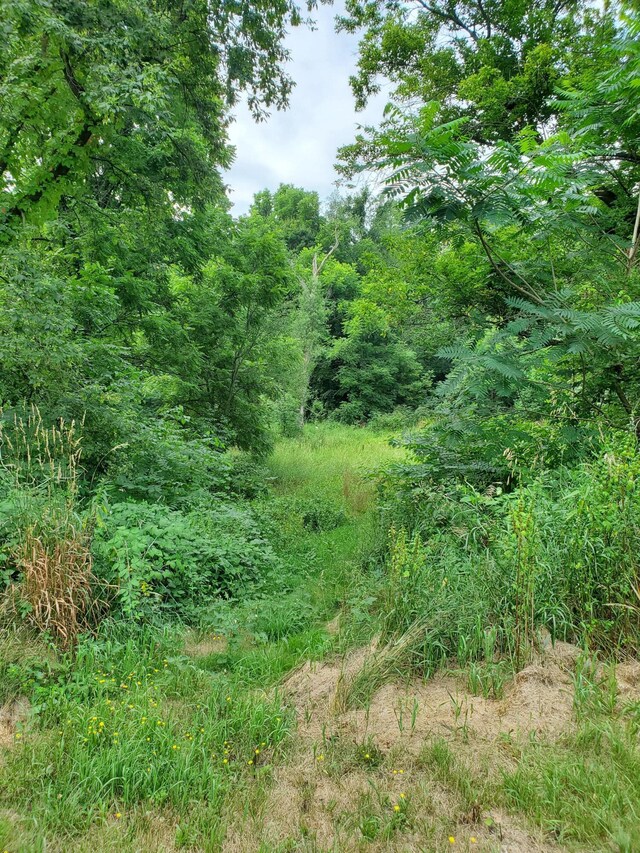 42355 M 43, Paw Paw, MI 49079 - photo 12