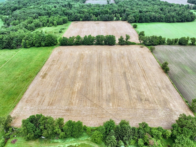 VL E Kinsel Hwy Lot # Wp001, Charlotte, MI 48813 - photo 3