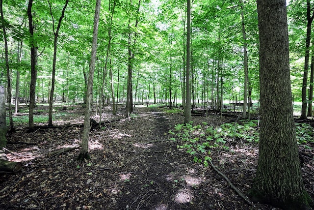 VL E Kinsel Hwy Lot # Wp001, Charlotte, MI 48813 - photo 6