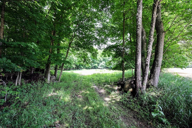 VL E Kinsel Hwy Lot # Wp001, Charlotte, MI 48813 - photo 9