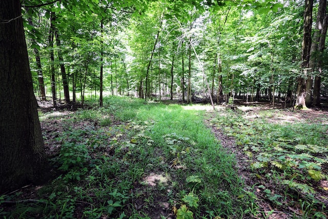 VL E Kinsel Hwy Lot # Wp001, Charlotte, MI 48813 - photo 18