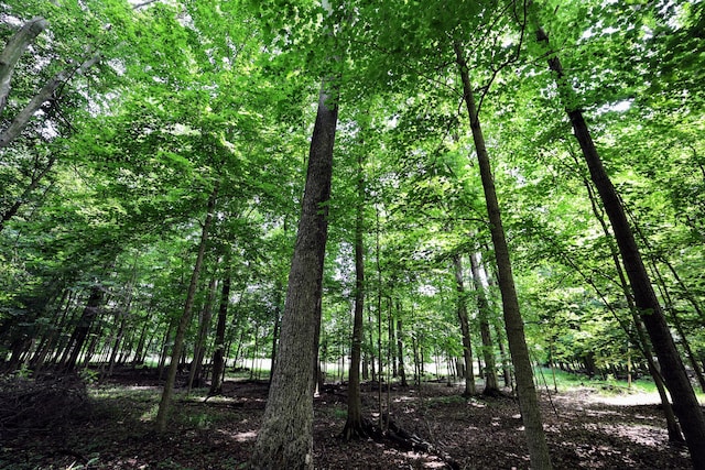 VL E Kinsel Hwy Lot # Wp001, Charlotte, MI 48813 - photo 20