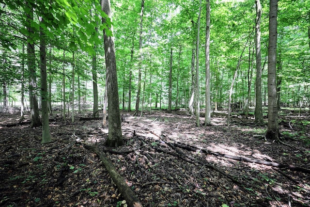 VL E Kinsel Hwy Lot # Wp001, Charlotte, MI 48813 - photo 21