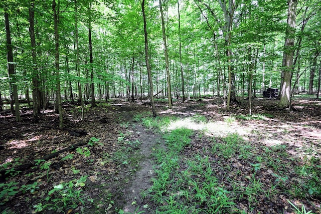 VL E Kinsel Hwy Lot # Wp001, Charlotte, MI 48813 - photo 22