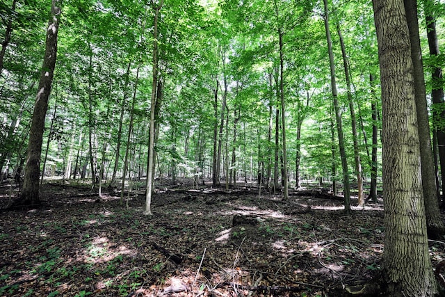 VL E Kinsel Hwy Lot # Wp001, Charlotte, MI 48813 - photo 23
