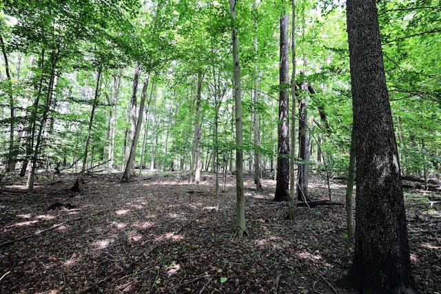 VL E Kinsel Hwy Lot # Wp001, Charlotte, MI 48813 - photo 24