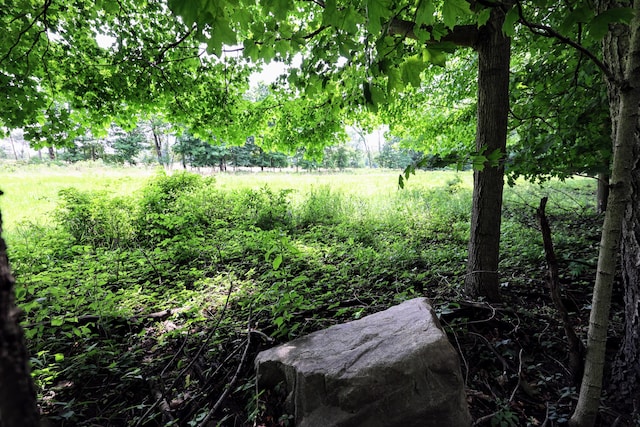 VL E Kinsel Hwy Lot # Wp001, Charlotte, MI 48813 - photo 25