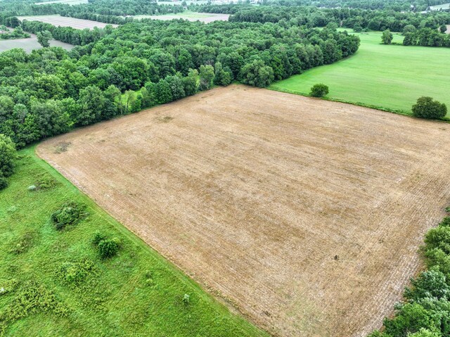 VL E Kinsel Hwy Lot # Wp001, Charlotte, MI 48813 - photo 30