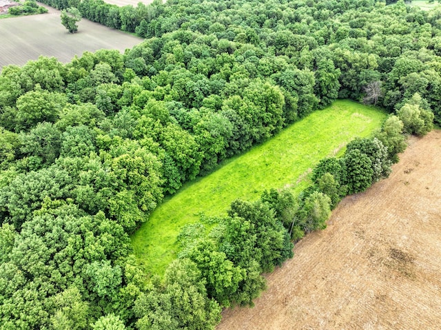 VL E Kinsel Hwy Lot # Wp001, Charlotte, MI 48813 - photo 31