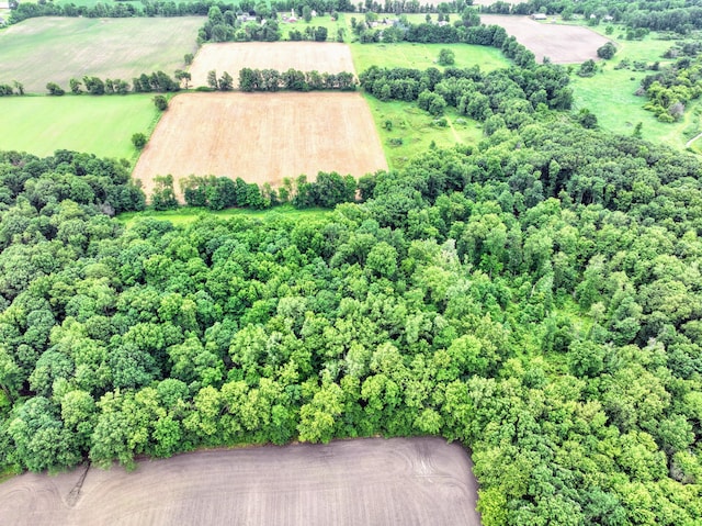 VL E Kinsel Hwy Lot # Wp001, Charlotte, MI 48813 - photo 35