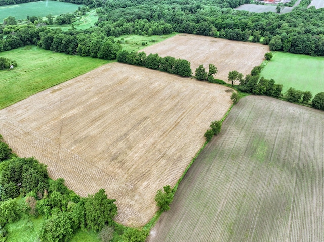VL E Kinsel Hwy Lot # Wp001, Charlotte, MI 48813 - photo 41