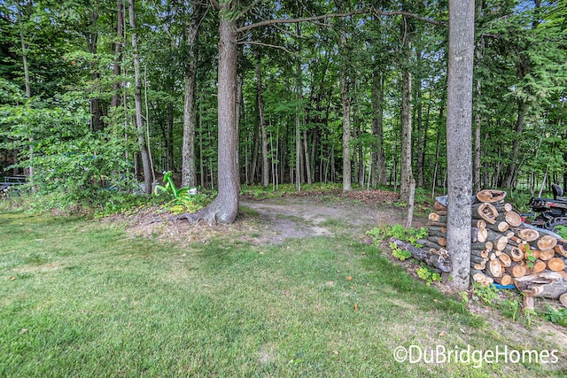UNIT8 E Springhill Dr, Hesperia, MI 49421 - photo 12