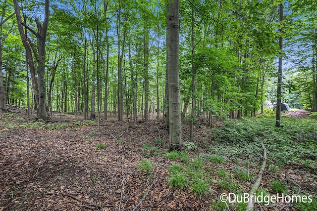 UNIT8 E Springhill Dr, Hesperia, MI 49421 - photo 4