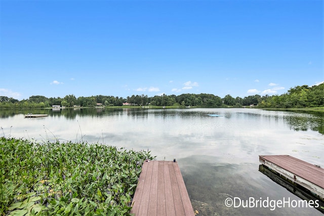 UNIT8 E Springhill Dr, Hesperia, MI 49421 - photo 19