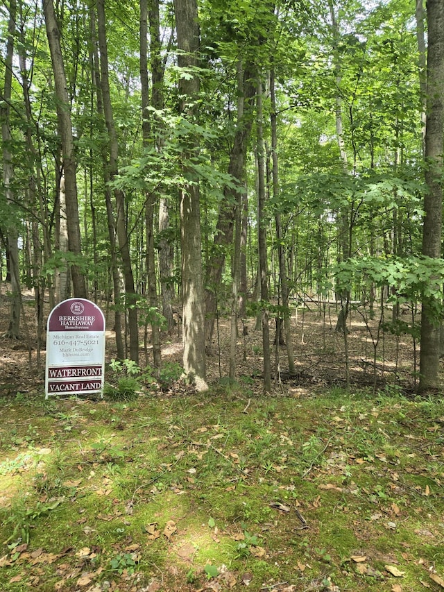 UNIT8 E Springhill Dr, Hesperia, MI 49421 - photo 10
