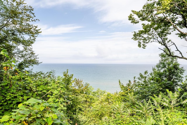 5212 Pier Rd, Coloma, MI 49038 - photo 6