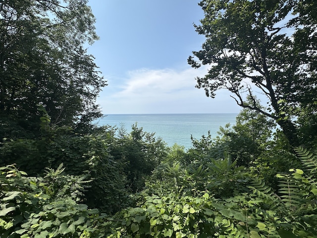 5212 Pier Rd, Coloma, MI 49038 - photo 12