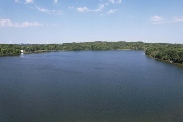 W Waters Edge Dr Unit 9, Scottville, MI 49454 - photo 7