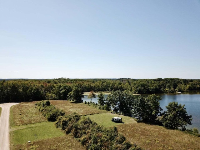 W Waters Edge Dr Unit 9, Scottville, MI 49454 - photo 11