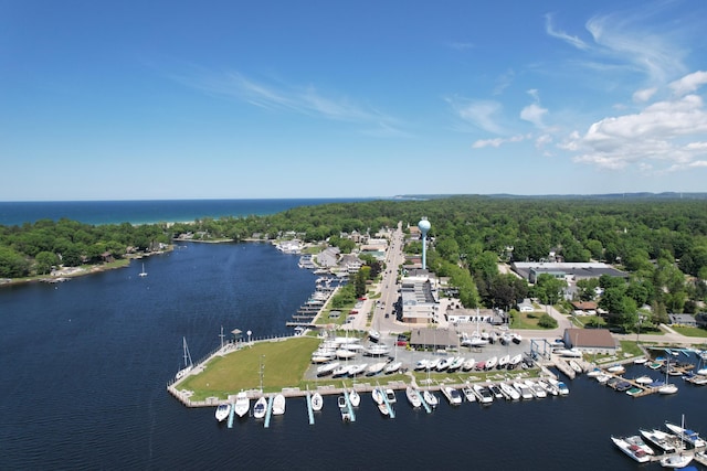 W Waters Edge Dr Unit 9, Scottville, MI 49454 - photo 18