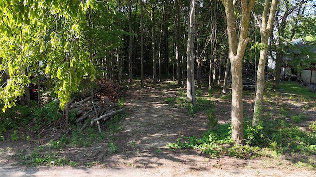 V/L Jack St, Holland, MI 49424 - photo 1