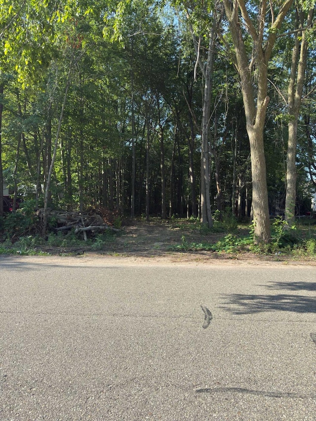 V/L Jack St, Holland, MI 49424 - photo 3