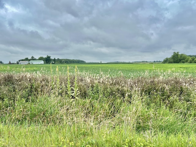 10800 S Rd, Waldron, MI 49288 - photo 25