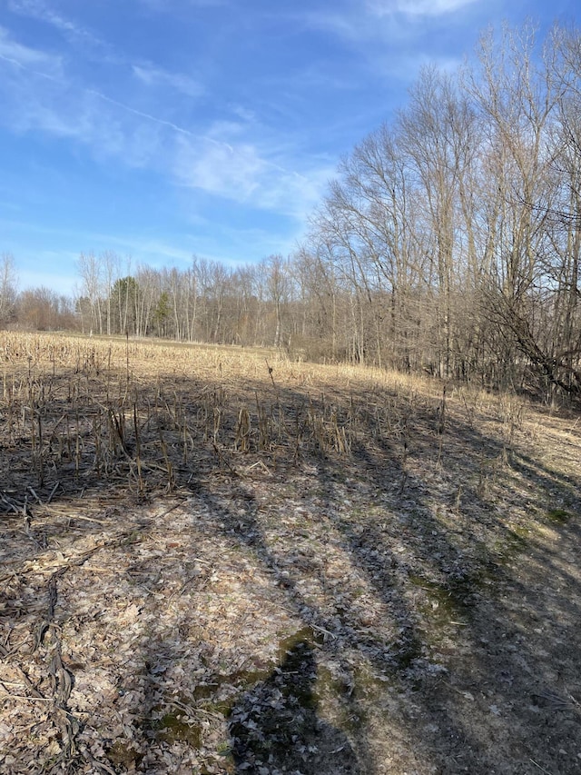 0 48th Ave, Lawrence, MI 49064 - photo 3